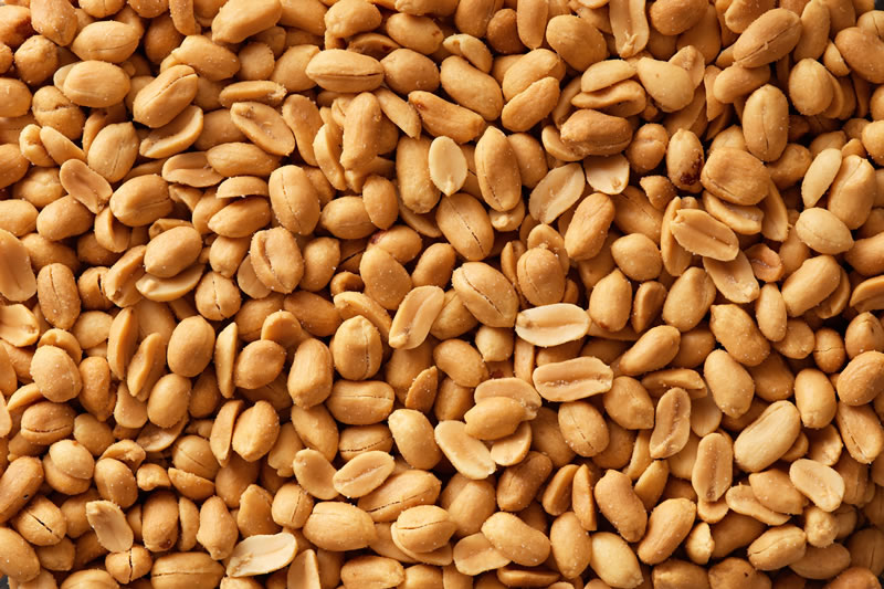 Snacks e Petiscos Naturais